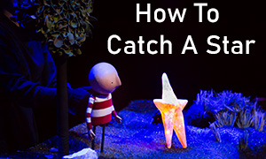 How to Catch a Star