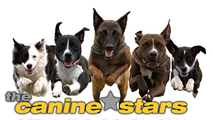 The Canine Stars Stunt Dog Show